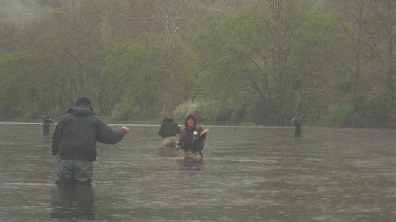 Trout in the rain.JPG